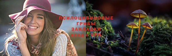 МДПВ Абинск