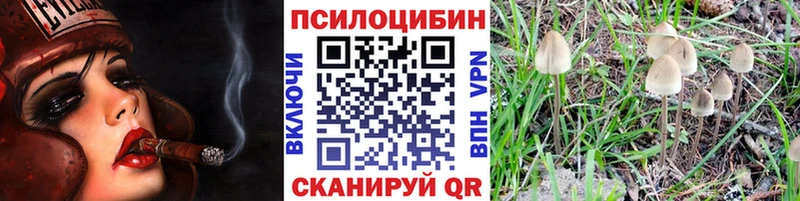 наркотики  мориарти как зайти  МЕГА ТОР  Галлюциногенные грибы Cubensis  Питкяранта 